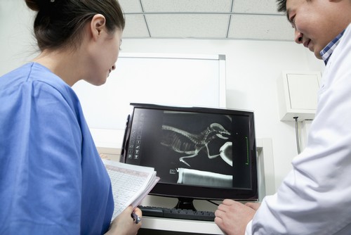 Advanced Digital X-rays  La Verne, CA 