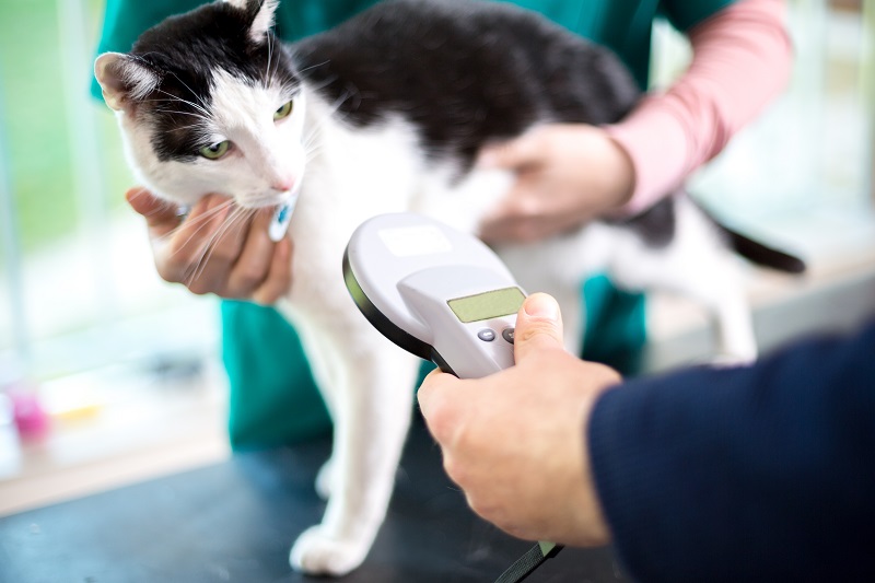 Microchipping  La Verne, CA 