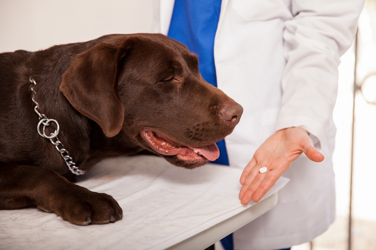 Preventative Care  La Verne, CA 