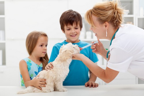 Vaccinations  La Verne, CA 